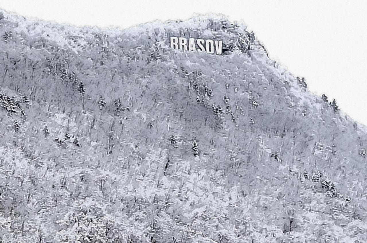 Winter Dream Apartamento Braşov